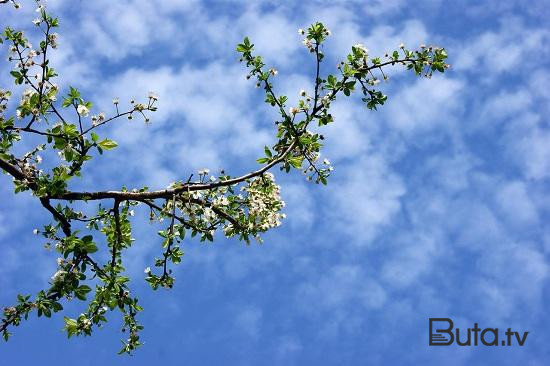 Temperatur 22 dərəcəyə yüksələcək  