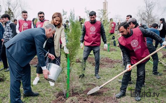  Daha 3 rayonda “Vətən Bağı” salındı  