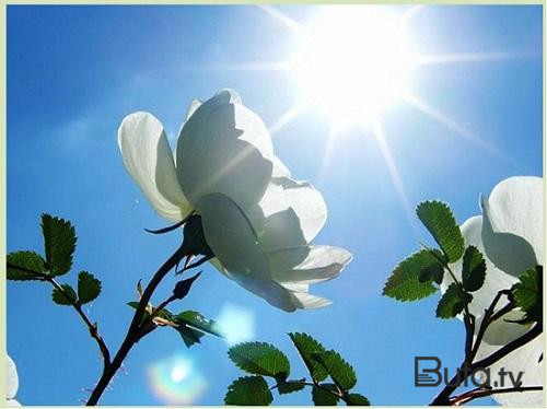  Temperatur 28 dərəcəyə yüksələcək  