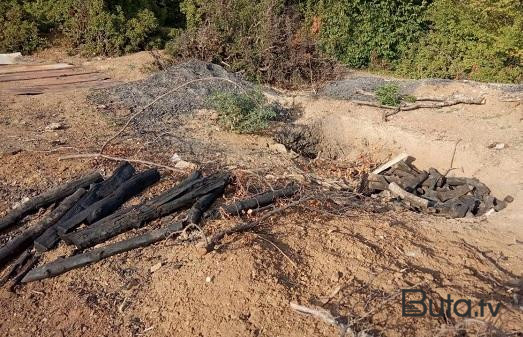  Qubada ağac kömürü istehsal edilən quyular aşkarlandı  