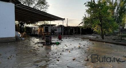  Zaqatalada leysan fəsadlar törətdi - Foto  