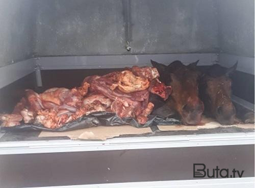  Şamaxıda xəstə atları kəsərək satmaq istəyənlər saxlanıldı  