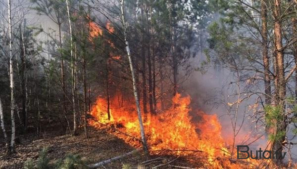  Portuqaliyada dəhşətli yanğınlar: 1400 nəfər təxliyə olundu  