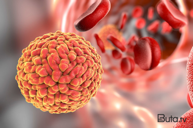  Rusiyada da yeni ştamma yoluxmalar qeydə alındı  
