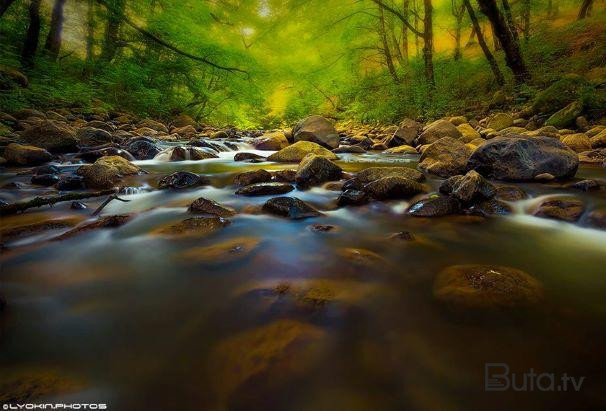  Lerikə istirahətə gedən gənc çayda boğulub, öldü  