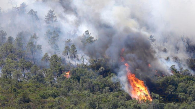  Fransada dəhşətli yanğınlar: 3000 nəfər təxliyə olundu  