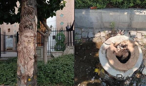  Tehranda 100 yaşlı ağac kəsildi - Absurd səbəb  