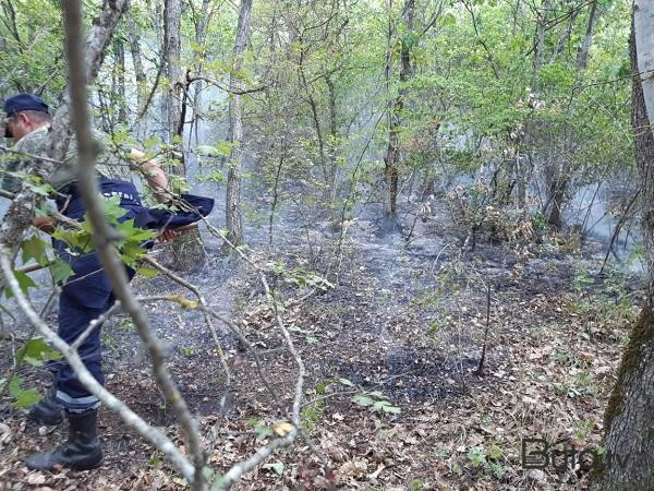  Şamaxıda dağlıq ərazidəki yanğın söndürüldü  