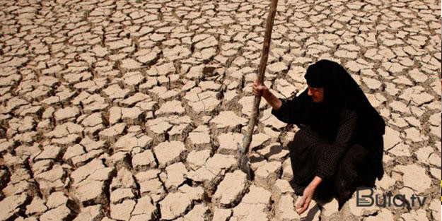  Quraqlıq Güneydə əkin sahələrini məhv etdi  