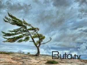  Sabah güclü külək əsəcək - Xəbərdarlıq  