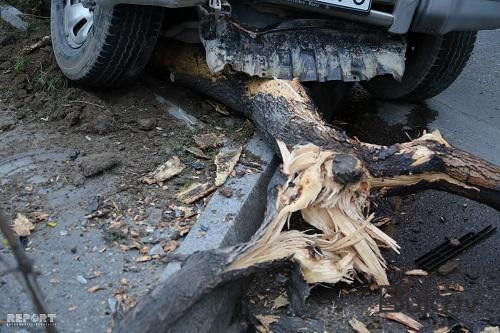  “Ford” ağaca çırpıldı, ölən var  