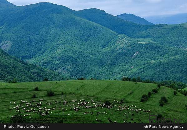 Qaradağda zəhərli tullantılar fəsadlar törətdi  
