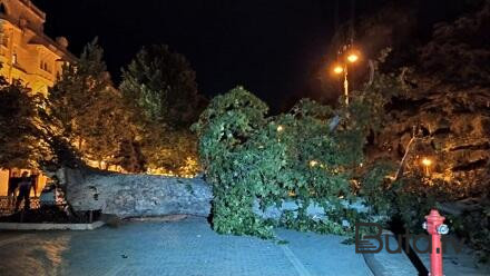  Qərb bölgəsində güclü külək: ciddi ziyan dəydi  