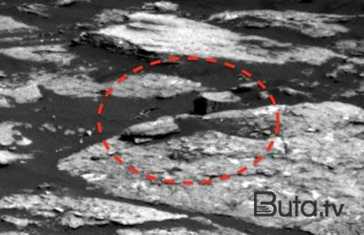  Baydenin təyyarəsinin yanında görünən UNO - Video  