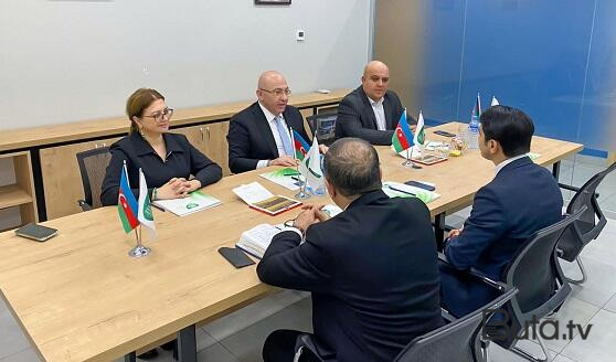  Dezinfeksiya xidmətləri sahəsində cəmiyyətə yeni standartlar...  