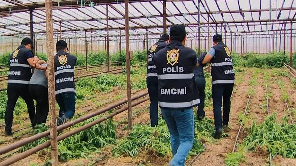  Neftçala polisindən əməliyyat: saxlanılan var  