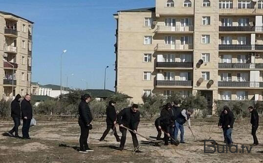  FHN Bakıda ağacəkmə aksiyası keçirdi  