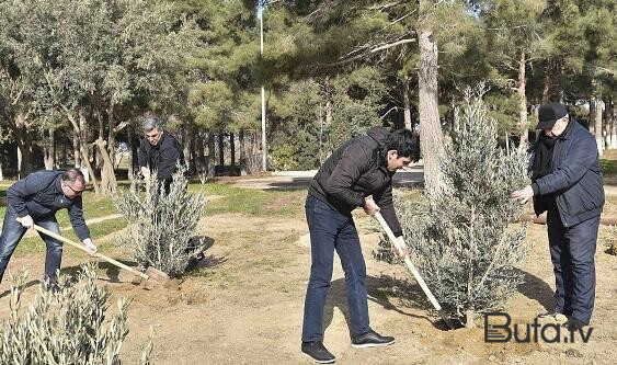  Heydər Əliyevin yubileyi: ağacəkmə aksiyası keçirildi  