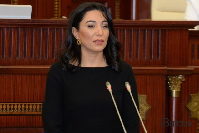  Ombudsman məruzəsini Prezidentə təqdim etdi  