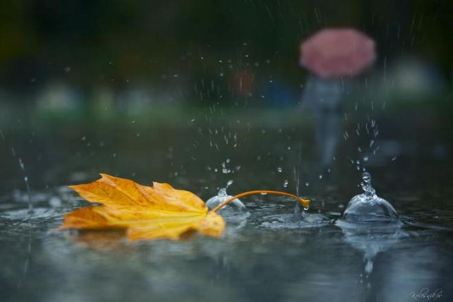  Fevralın 1-dək ölkədə hava şəraiti necə olacaq?  