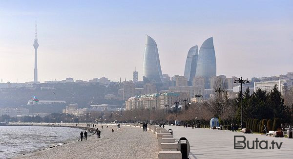  Bulvarda dekorativ ağaca zədə vuran qadın saxlanıldı  