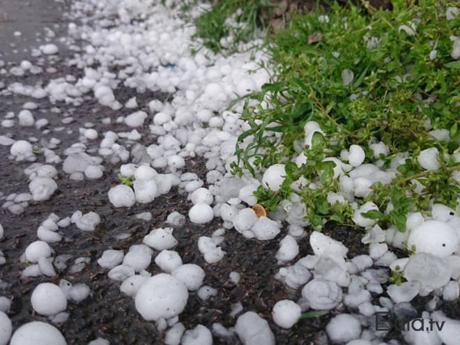  Rayonlara yağış yağacaq, dolu düşəcək – Xəbərdarlıq  