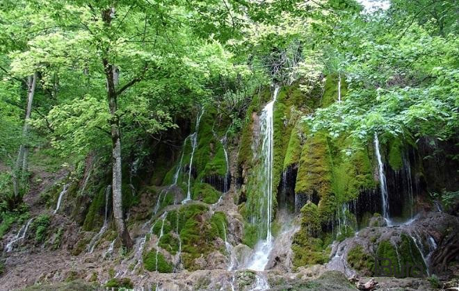  Qaxda meşədə bir nəfər itkin düşdü  