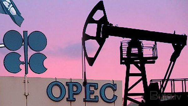  OPEK+ ölkələri neft hasilatı ilə bağlı razılığa gəldi  