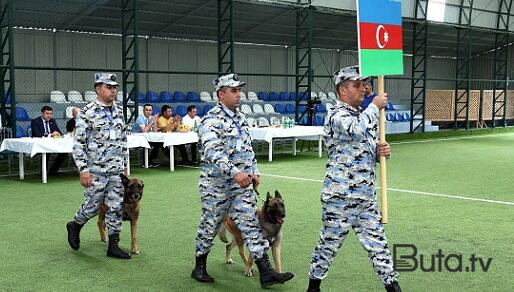 Kinoloji bölmələrin yarışı başladı - Video  