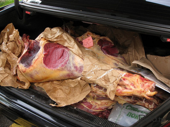  Ölü at əti satan şəxs saxlanıldı - Video  