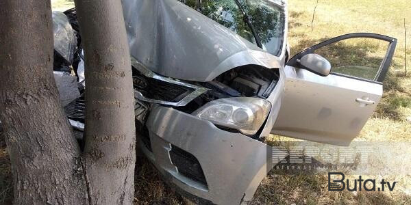  KİA ağaca çırpıldı: xəsarət alanlar var - Foto  