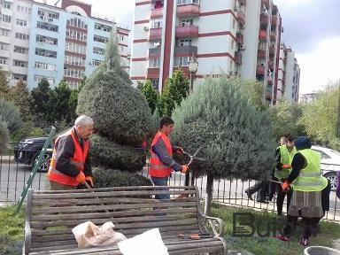  Bakıda ümumşəhər iməciliyi keçirilir  