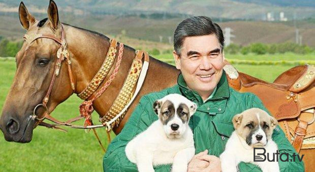 Berdiməhəmmədovun şərəfinə şəhər salınır  