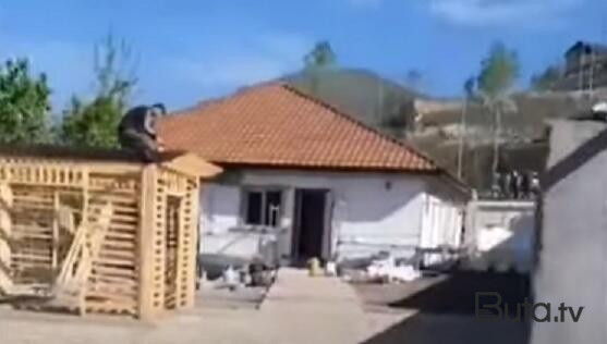  Fədayə Laçının Laçındakı evi - Video  