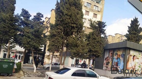  Xətaidə satılan torpaqlar, məhv edilən ağaclar – Foto  