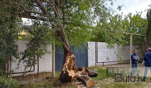  Salyanda güclü külək: şəhərin bir hissəsi işıqsız qaldı - Foto  