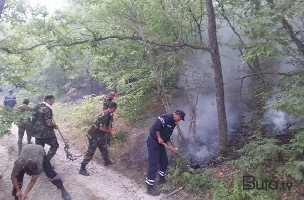  İsmayıllıda yanğının meşəyə keçməsinin qarşısı alındı  