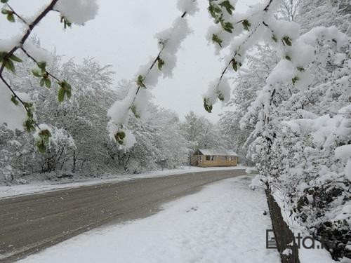  Temperatur 10 dərəcə düşəcək, yağış və qar yağacaq 