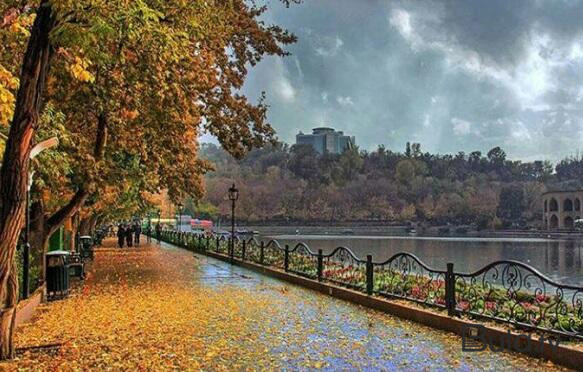  Təbrizdə çadırda yaşayan Azərbaycan vətəndaşı...  