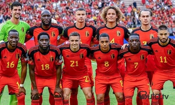  UEFA-dan Belçika-İsveç oyunu ilə bağlı qərar  