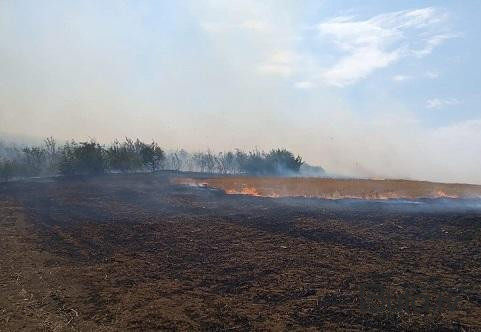  Ermənilərin növbəti yalanı ifşa olundu - Video  