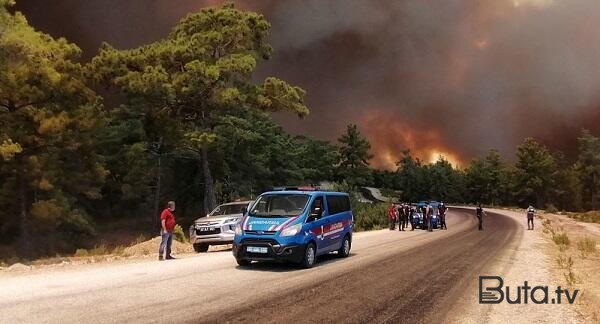  Türkiyədə meşə yanğını: 5 təyyarə, 8 helikopter yardım edir  
