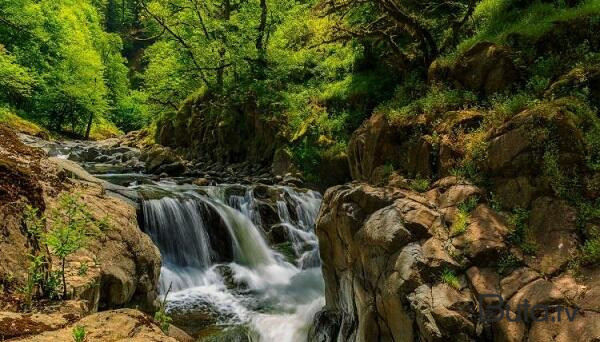  Hirkan meşələri UNESCO-nun siyahısına daxil edildi  
