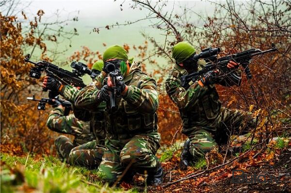  Ordumuz buna özü nəzarət etməlidir – Politoloq  