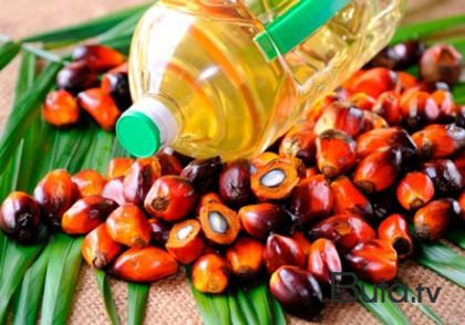  Tərkibində palma yağı olan məhsullar - Siyahı  