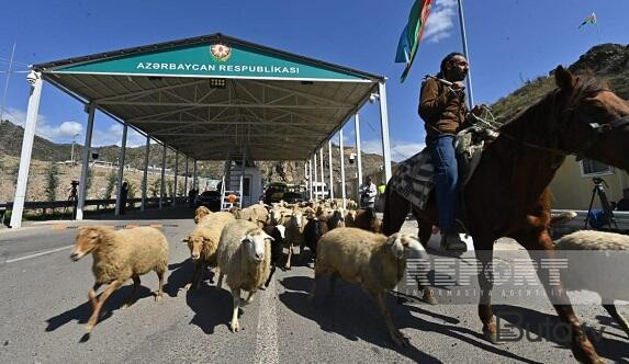  Ermənilərlə birgə qoyunlar da postdan keçdi - Foto  