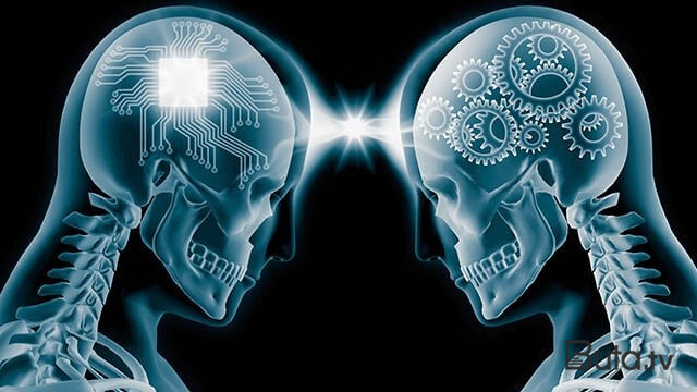  İnsan beyni böyüyür – Araşdırma  