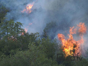  Çilidə meşə yanğınları: 131 nəfər öldü  