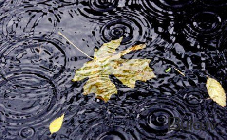  Sabah yağış yağacaq  