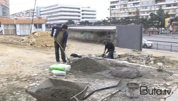  Nizamidə yaşıllıq ərazisi məhv edilir - Foto  